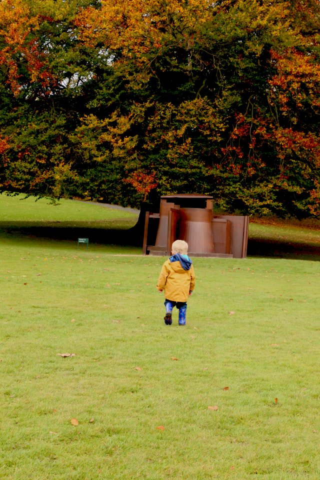 Ysp centre, Bretton, United kingdom photo