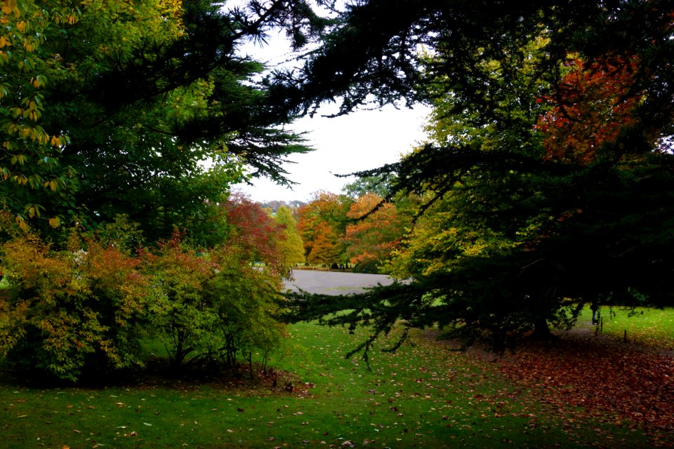 Yorkshire sculpture park, United kingdom, Park