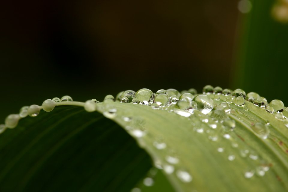 Engl, United kingdom, Water