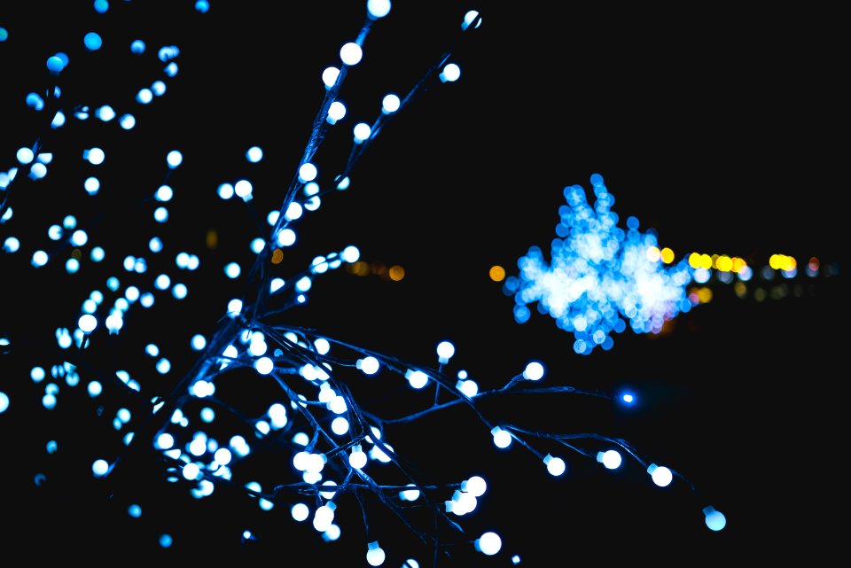 Lisbon, Portugal, Bokeh