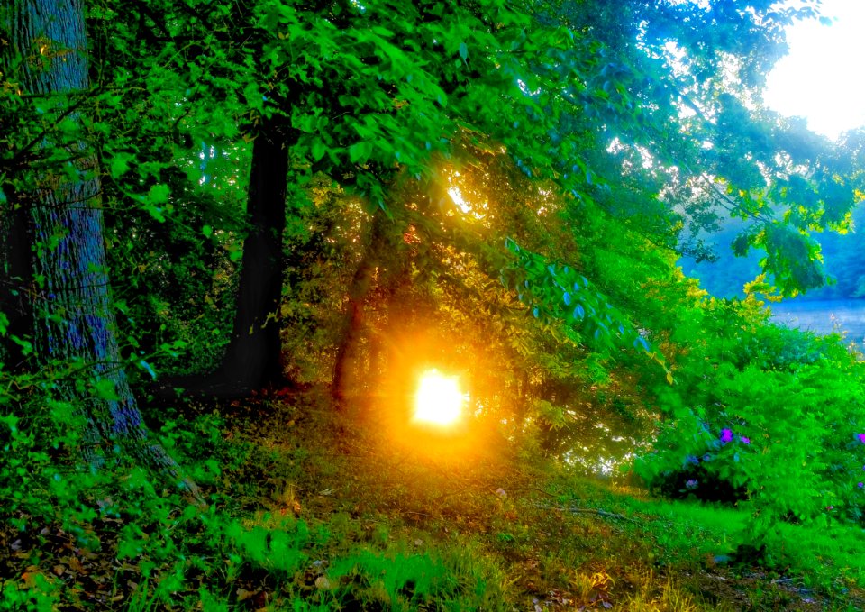 Hickory, North carolina, United states