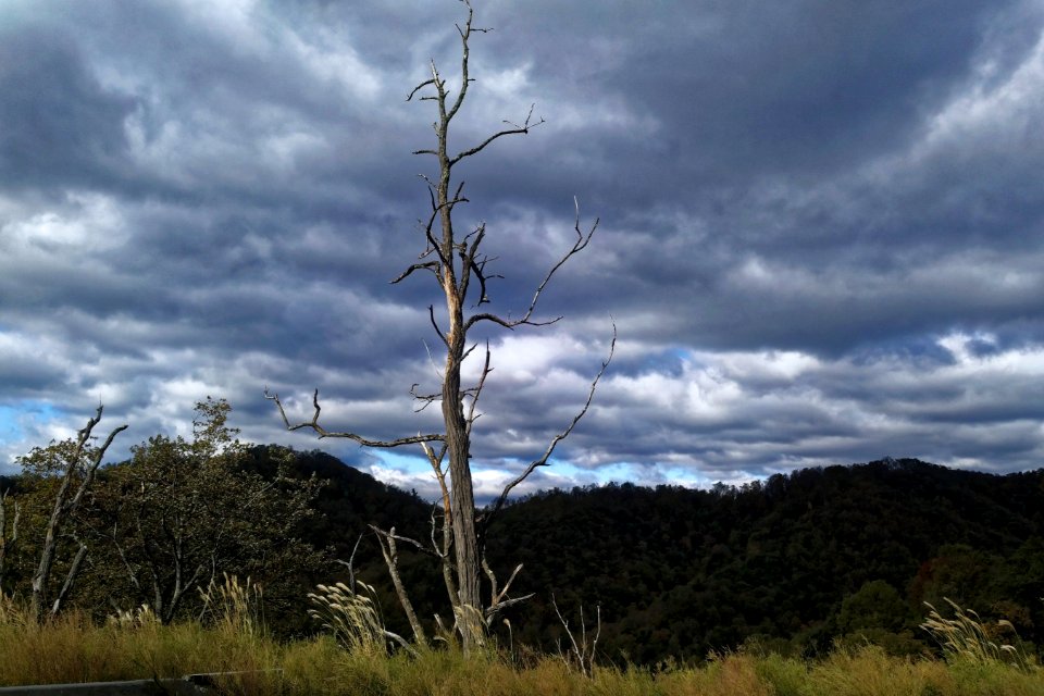 Lenoir, North carolina, United states