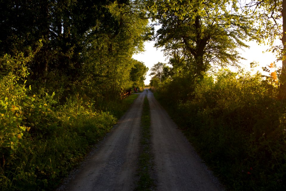 Sweden, Legensgatan, Borgholm n