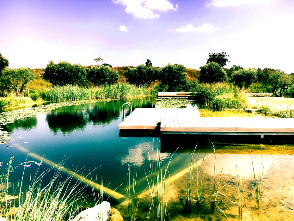 Nature, Swimming pool, Pool