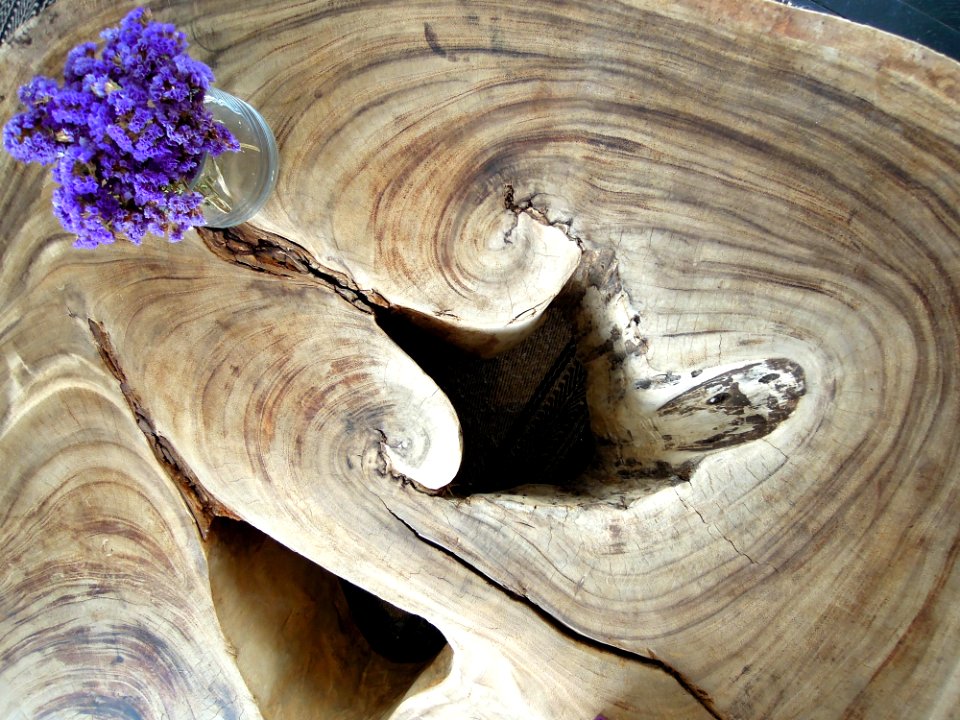 Table, Interior, Tree trunk