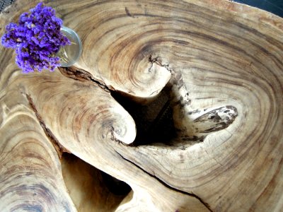 Table, Interior, Tree trunk