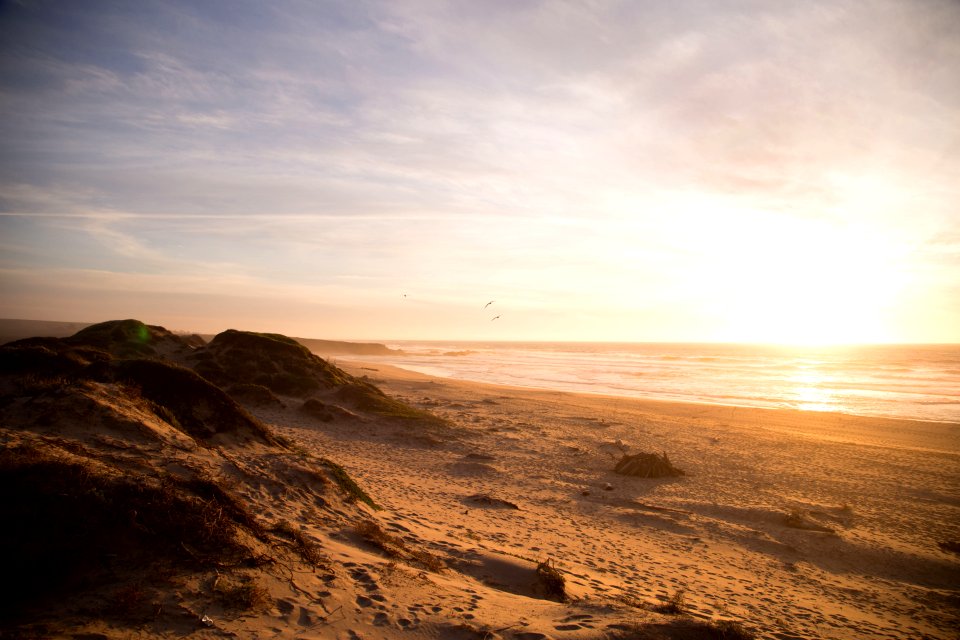 beachfront during sunset