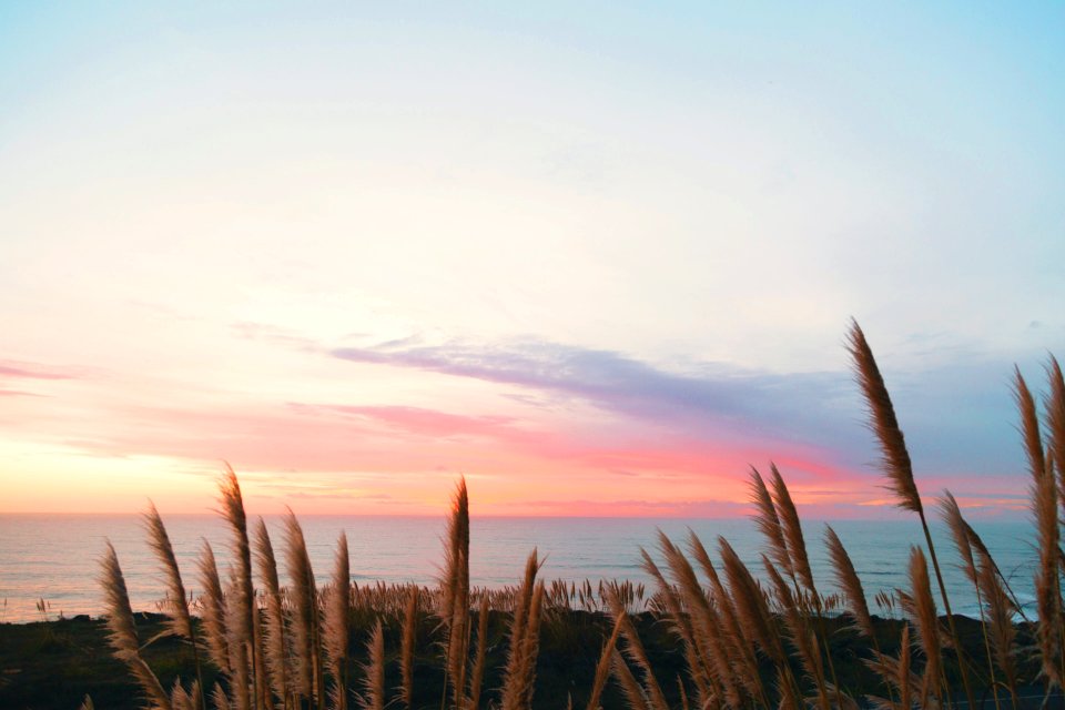 Davenport, United states, Coast