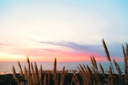 Davenport, United states, Coast