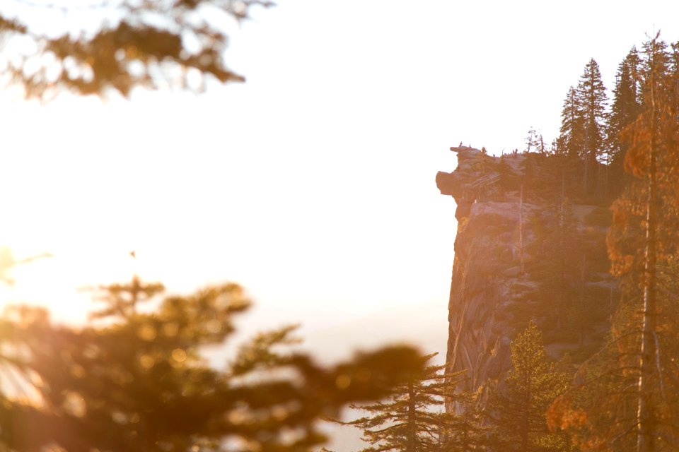 trees near edge of cliffs