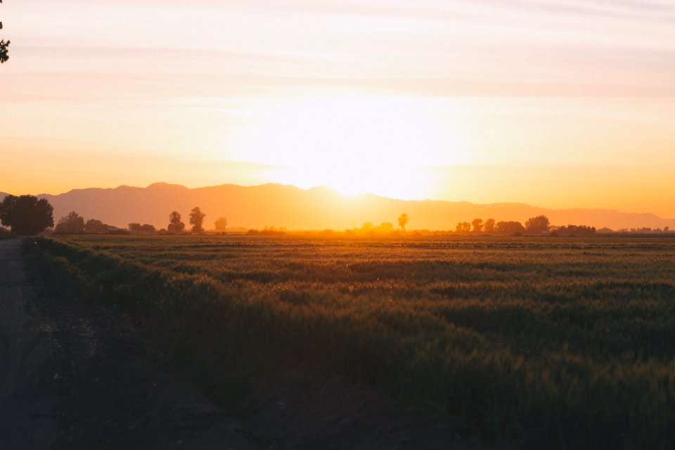 Mexicali, Mexico, Sunset