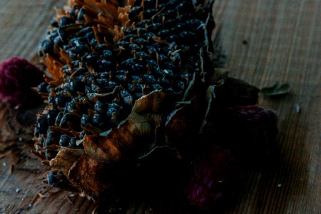 August, Harvest, Berries