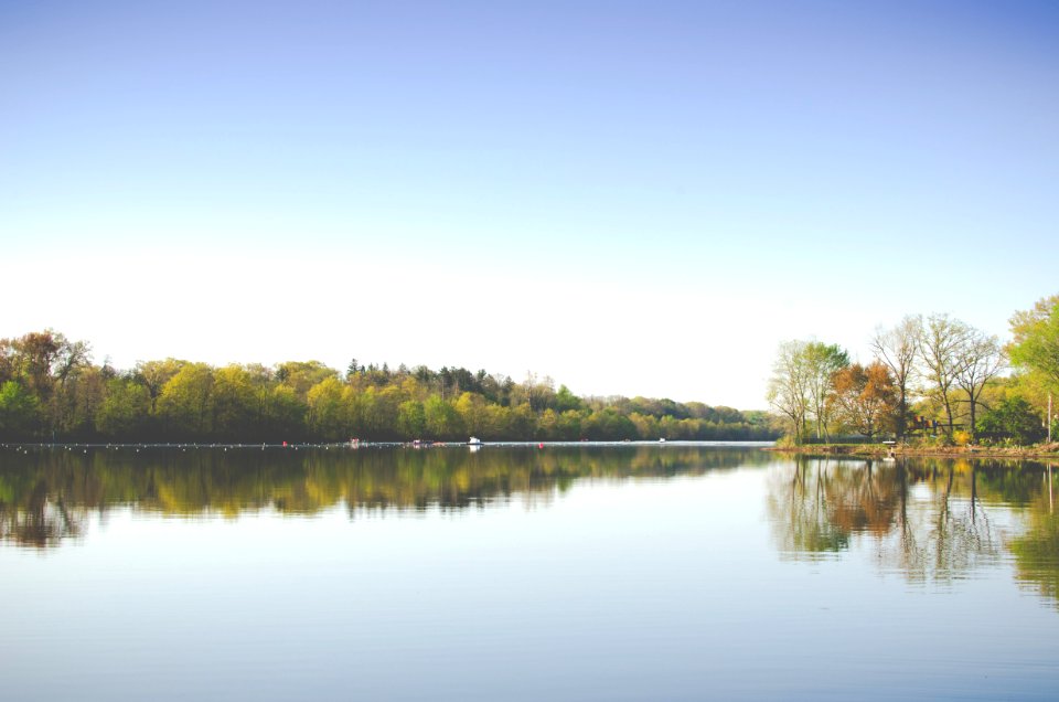 lake and trees during day