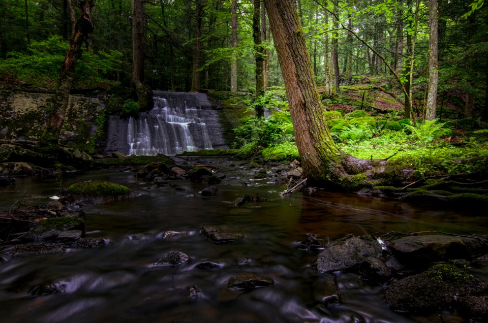 Stokes state forest, Branchville, United states