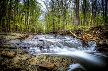 Hollow road, Skillman, Montgomery