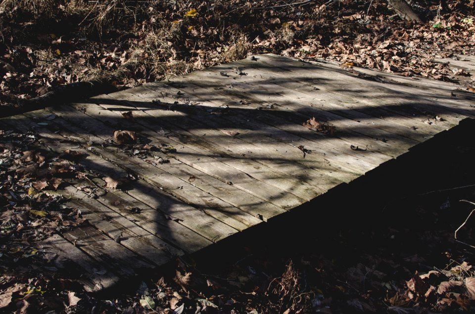 Skillman road, Montgomery, Skillman