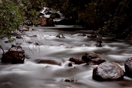 Papallacta, Ecuador, Nature