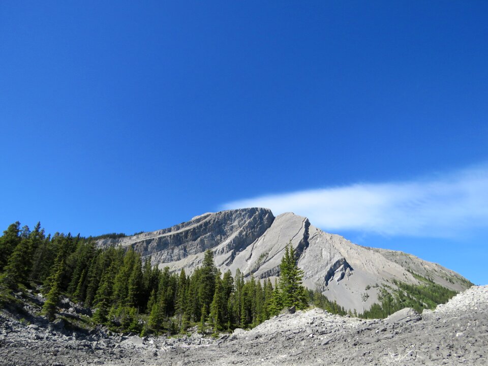 Canada nature forest photo