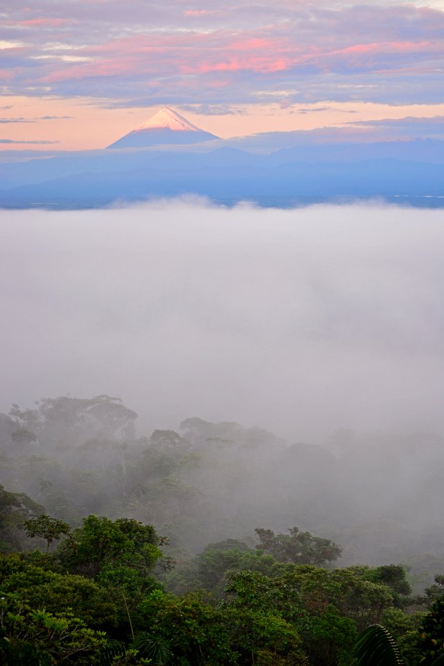 Mountain, Scape photo