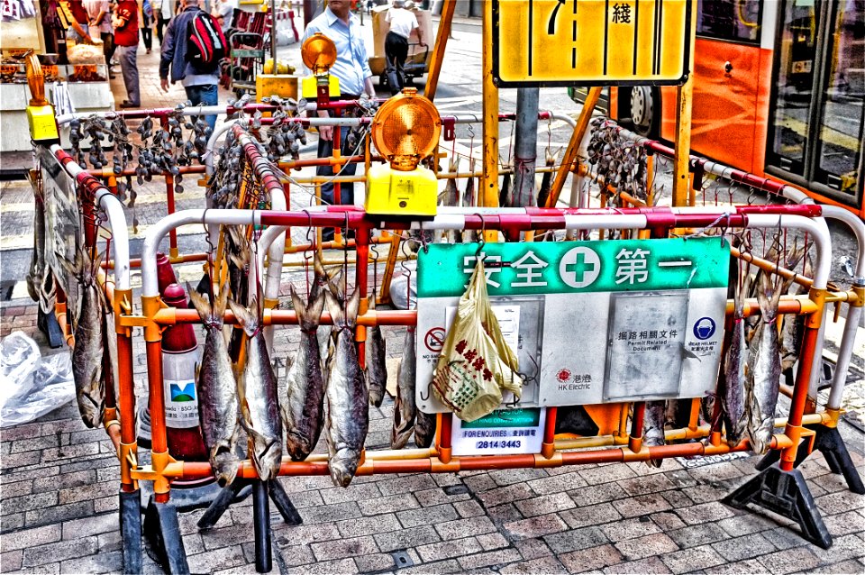 Hong kong street, Fish, Weird