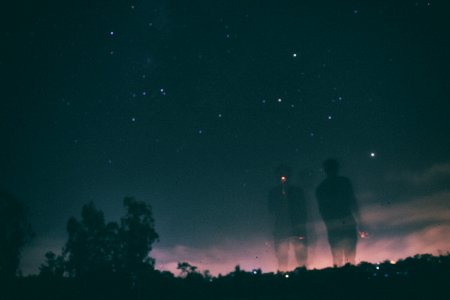 silhouette of trees under dark sky with stars photo