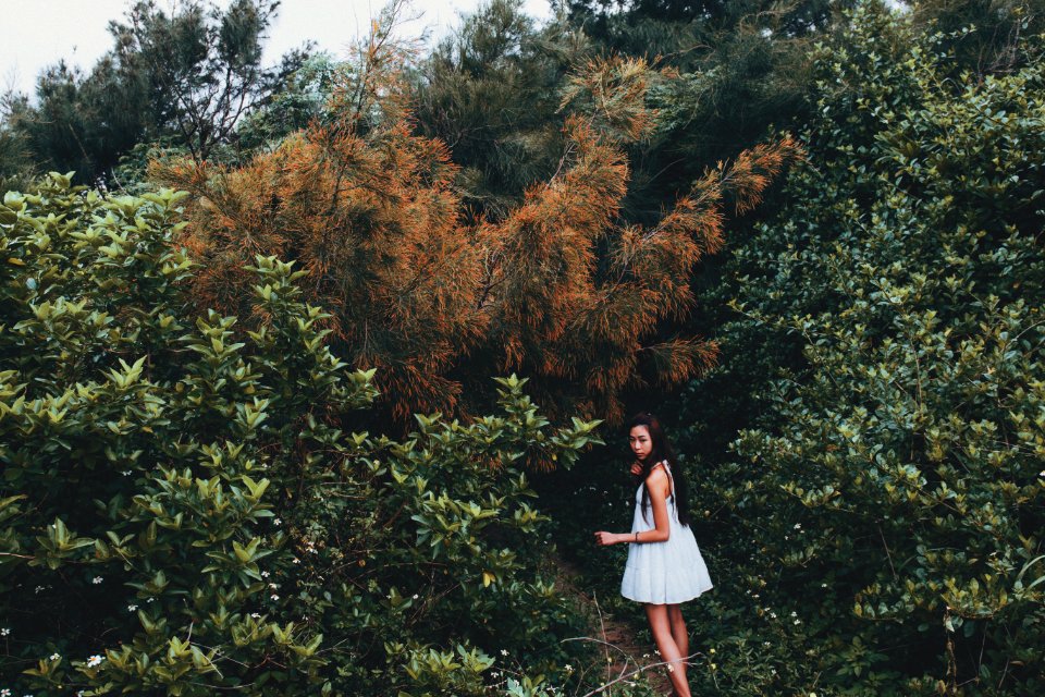Pleiku, Vietnam, Look