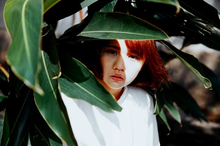 woman hiding under green leaf tree photo