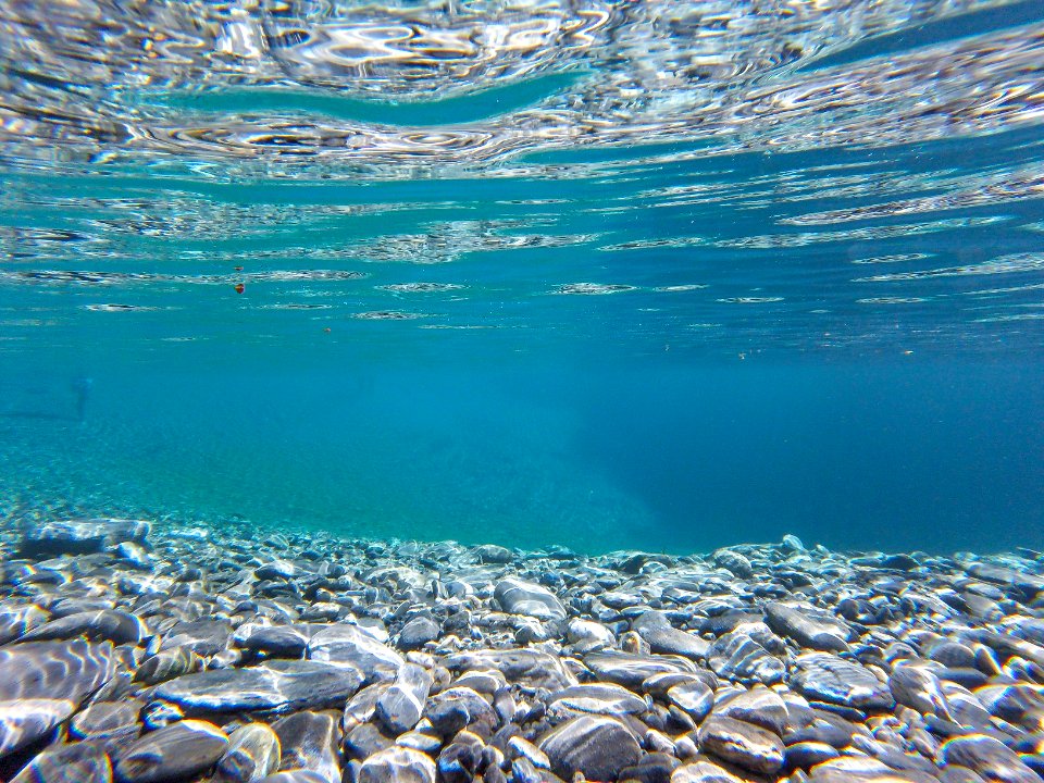 shallow focus photography of rocks under water