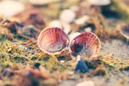 Romania, Mamaia, Constana