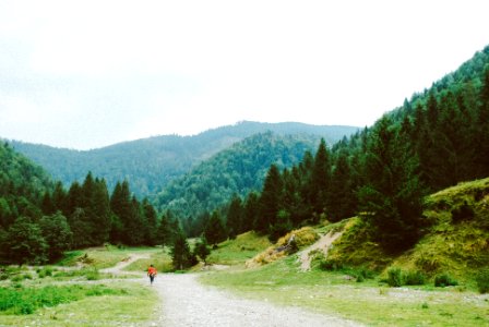 Romania, Transfgran, Crioara
