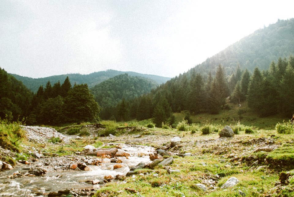 Romania, Transfgran, Crioara