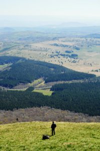 France, Puy de dme, Orcines