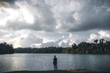 Macritchie reservoir, Singapore, Solo photo