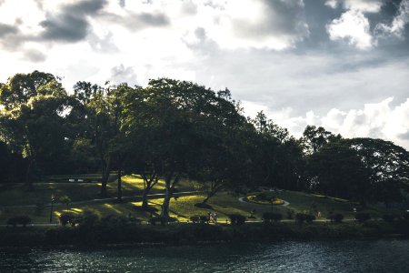 Singapore, Macritchie reservoir, Goldenhour photo