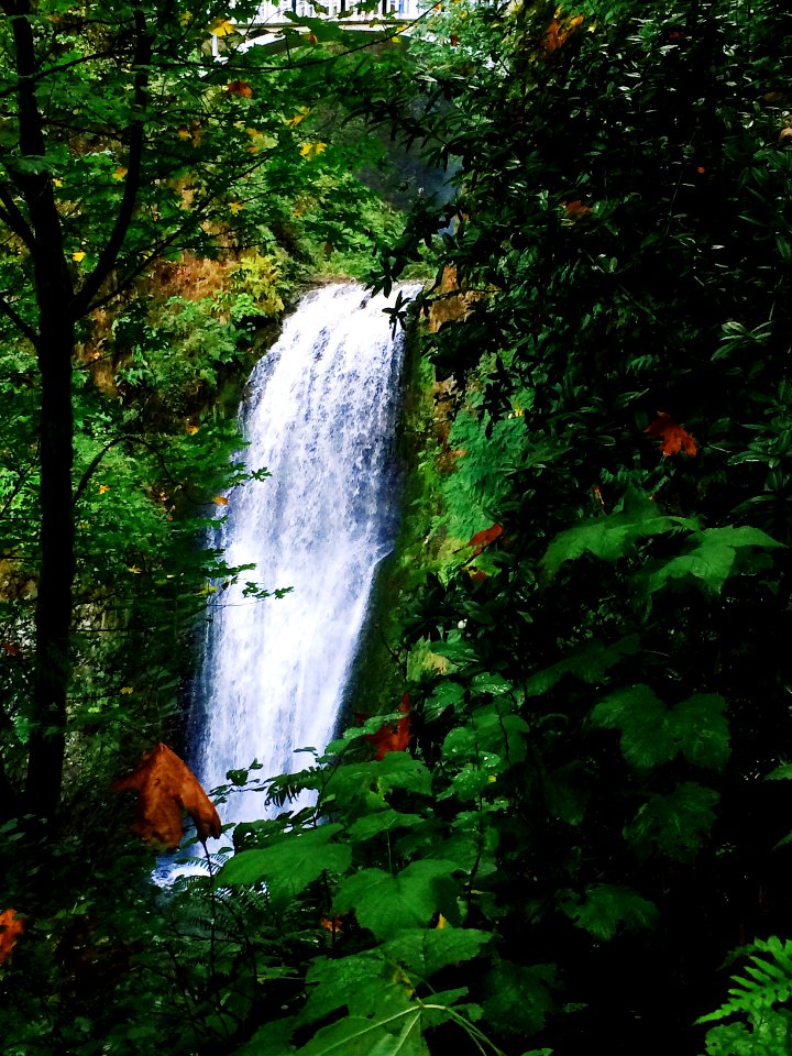waterfalls in the middle of the forest
