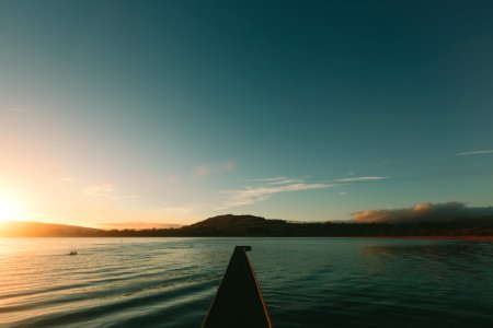 Nature, Llangorse lake, Brecon