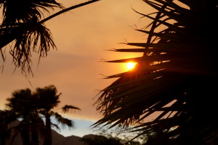 Palm springs, United states, Orange