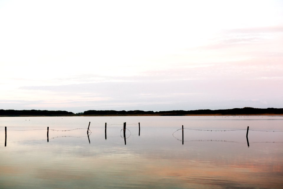 Outdoors, Nature, Mindfulness