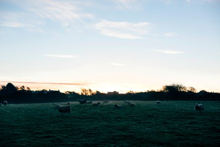 Kenfig national nature reserve, Ton kenfig, United kingdom photo