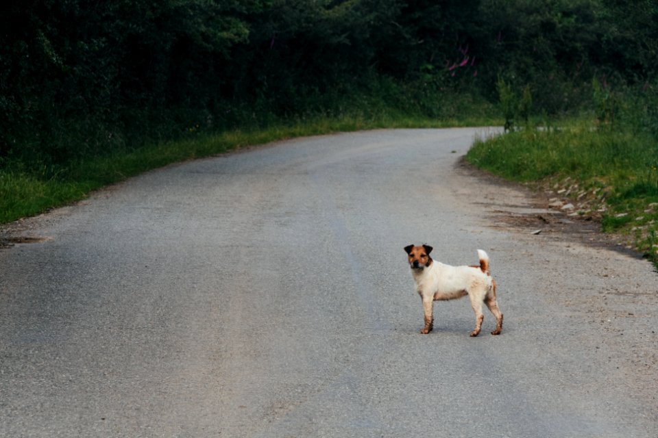 Pembrokeshire, United kingdom, Journey