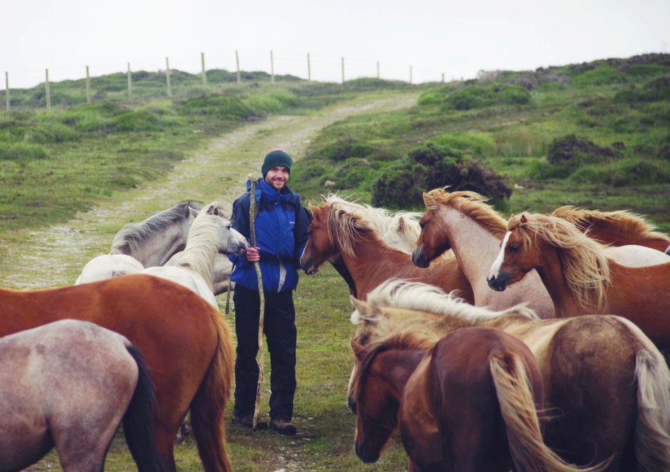 Connect, Pembrokeshire, Walking