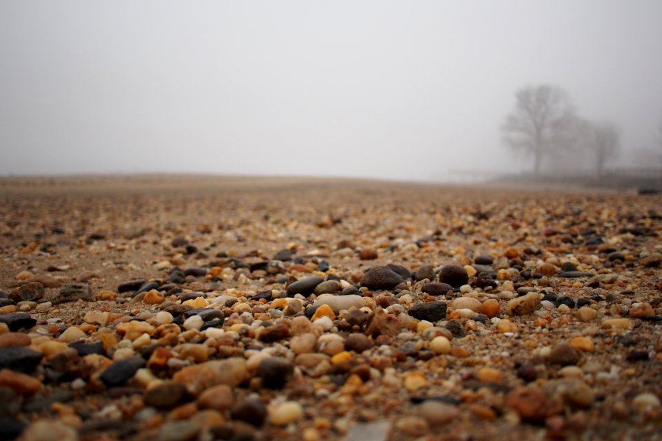 Rocks, Fall, Trees