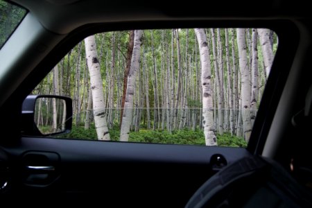 Buena vista, United states, Window