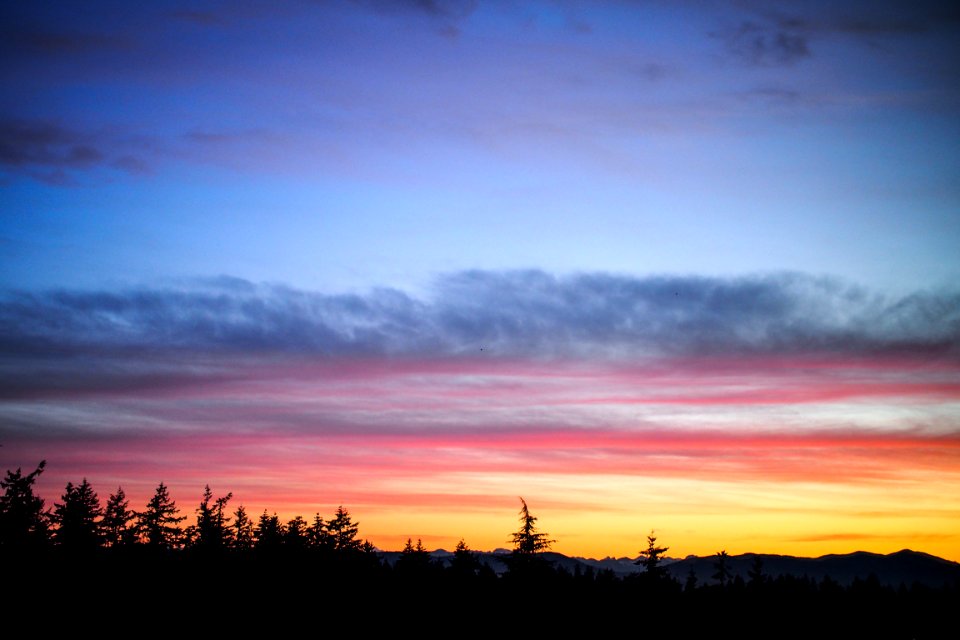 Seattletacomabellevue, United states, Sun