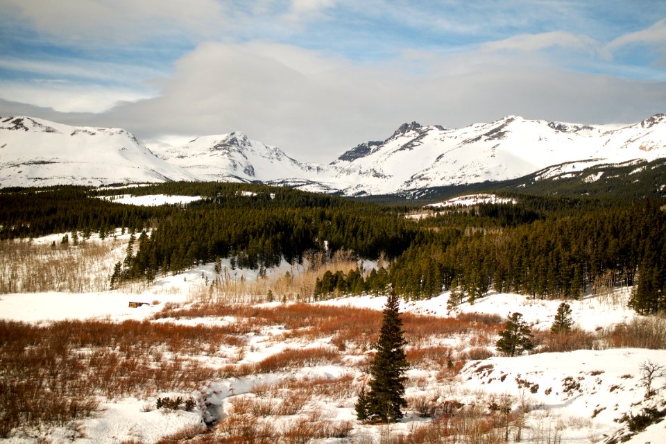 photo of snow-capped mountains nearby pine trees