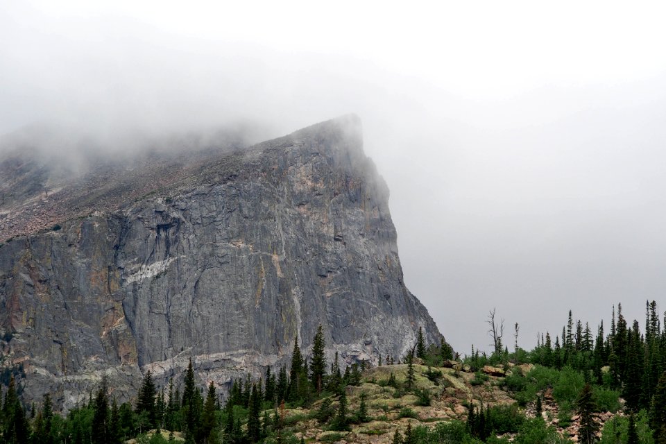 mountain covered by fog