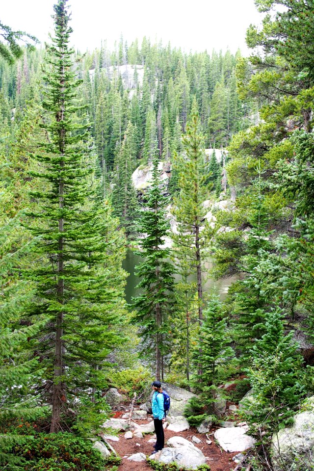 Colorado, United states, Rocky mountain national park photo