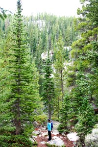 Colorado, United states, Rocky mountain national park
