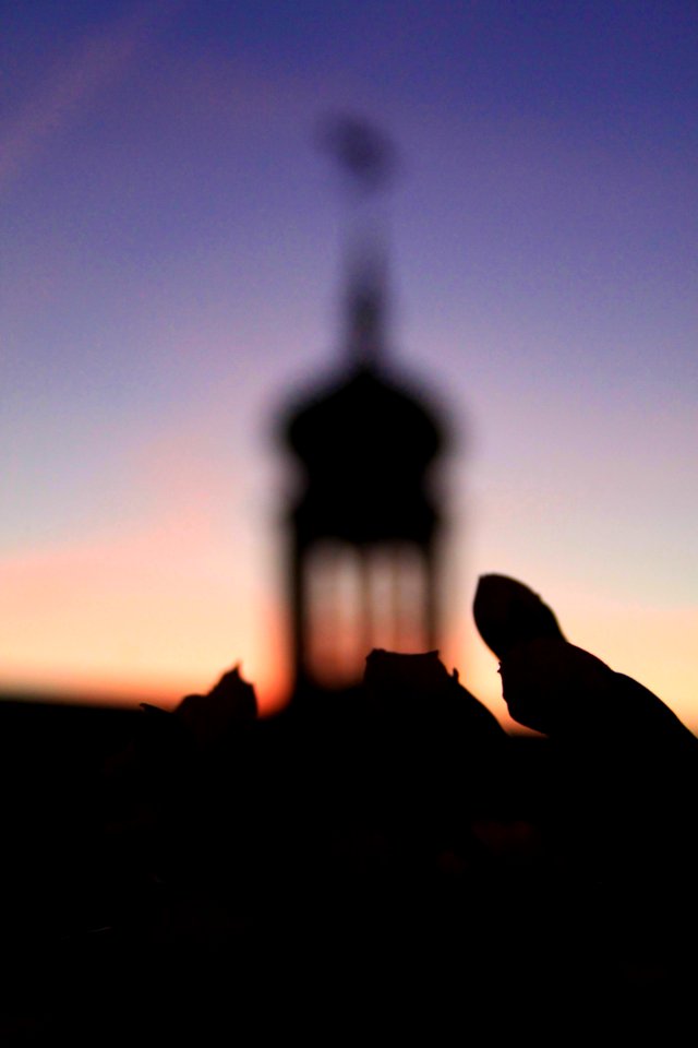Blury, Flowers, Sky