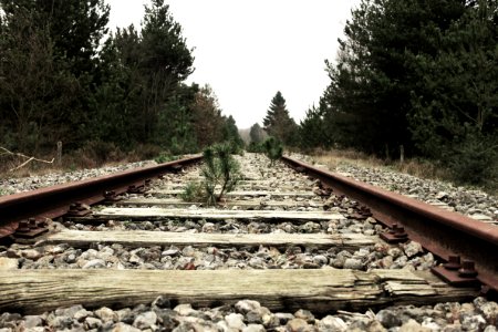 Wood, Rust, Iron